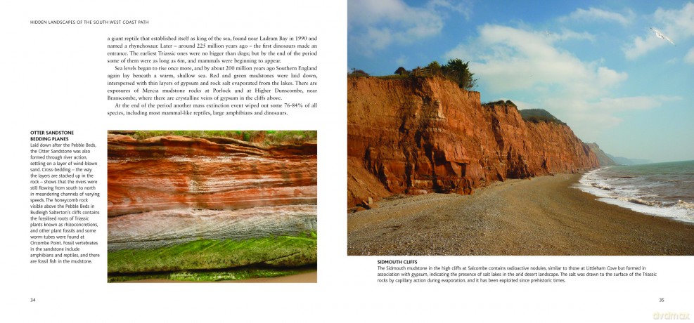 Hidden Landscapes of the South West Coast Path: Walk-Explore-Discover - Ruth Luckhurst [KSIĄŻKA]