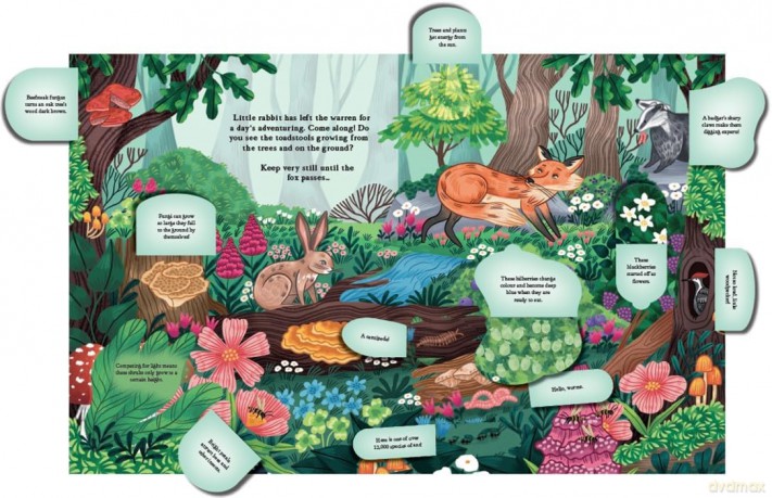 Hide and Find in the Forest: A Lift-the-Flap Woodland Adventure with over 100 flaps! - Scholastic [KSIĄŻKA]