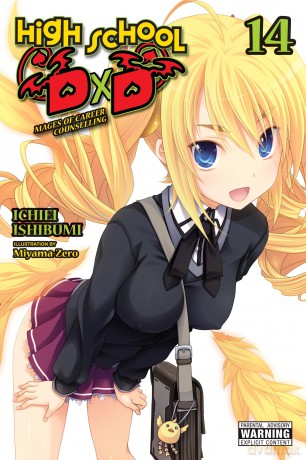 High School DxD, Vol. 14 (light novel): Volume 14 (HIGH SCHOOL DXD LIGHT NOVEL SC) - Ichiei Ishibumi [KSIĄŻKA]