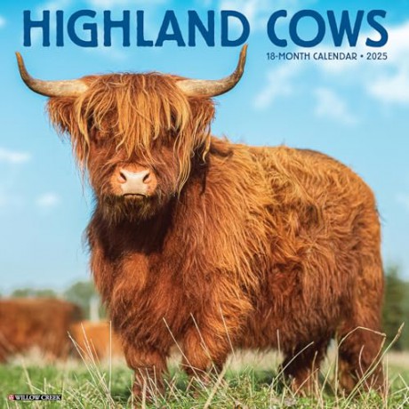 Highland Cows 2025 Wall [KSIĄŻKA]
