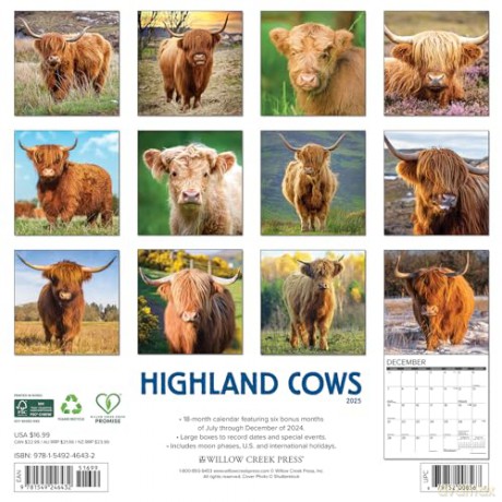 Highland Cows 2025 Wall [KSIĄŻKA]