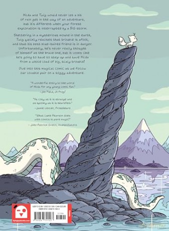 Hilda and Twig: Hide from the Rain: 1 - Luke Pearson [KSIĄŻKA]
