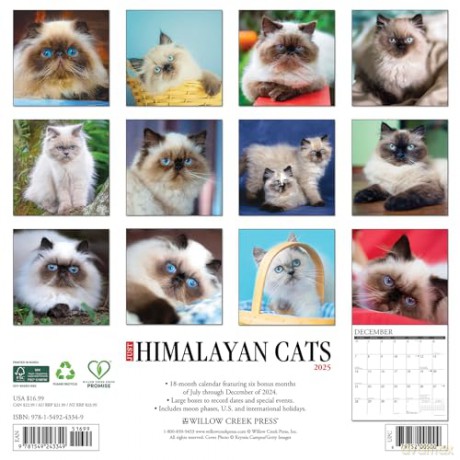 Himalayan Cats 2025 Wall [KSIĄŻKA]