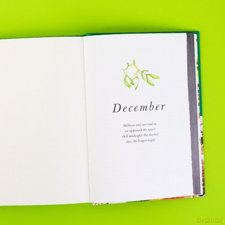 Homecoming: A Guided Journal to Lead You Back to Nature - Melissa Harrison [KSIĄŻKA]