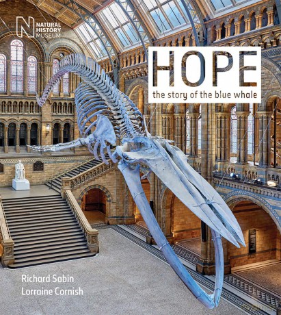 Hope: The story of the blue whale - Richard Sabin [KSIĄŻKA]