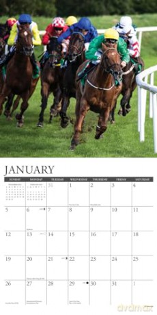 Horse Racing 2025 Wall [KSIĄŻKA]