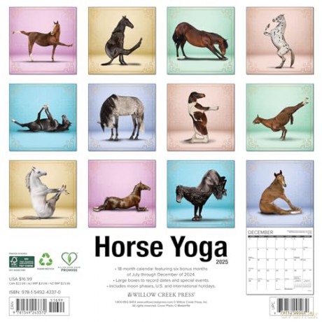 Horse Yoga 2025 Wall [KSIĄŻKA]