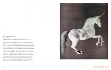 Horses in Art - Chiedza Mhondoro [KSIĄŻKA]