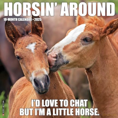 Horsin' Around 2025 Wall [KSIĄŻKA]