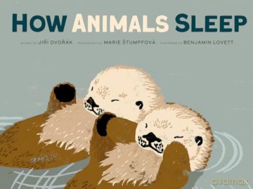 How Animals Sleep - Jiri Dvorak [KSIĄŻKA]