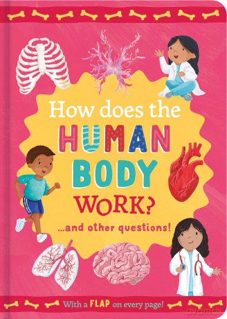 How Does the Human Body Work: and other questions (Mini Question and Answer Lift-the-Flap Books) - Rachel Moss [KSIĄŻKA]