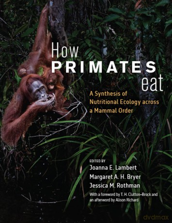 How Primates Eat: A Synthesis of Nutritional Ecology across a Mammal Order - Joanna E. Lambert [KSIĄŻKA]