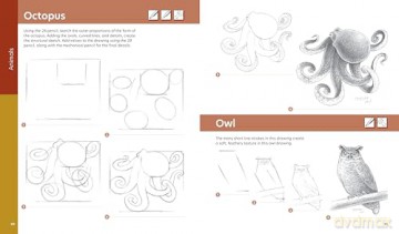 How to Draw Step by Step: A Visual Guide to Realistic Drawing - Mark Willenbrink [KSIĄŻKA]