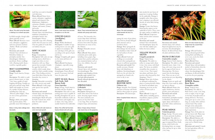 How to Get Rid of Garden Pests and Diseases: An illustrated identifier and practical problem solver - Andrew Mikolajski [KSIĄŻKA]