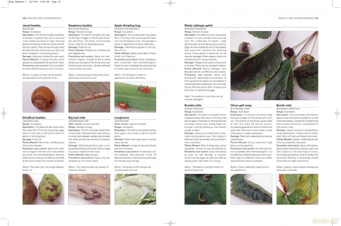 How to Get Rid of Garden Pests and Diseases: An illustrated identifier and practical problem solver - Andrew Mikolajski [KSIĄŻKA]