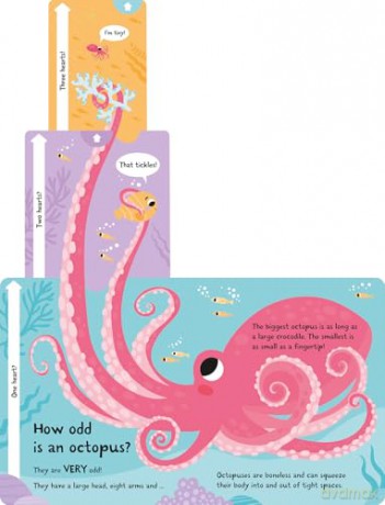 How Wide is a Whale (Slide and Seek - Multi-Stage Pull Tab Books) - Lisa Regan [KSIĄŻKA]