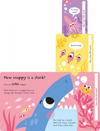 How Wide is a Whale (Slide and Seek - Multi-Stage Pull Tab Books) - Lisa Regan [KSIĄŻKA]