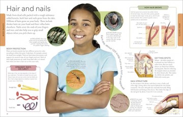 Human Body A Children's Encyclopedia [KSIĄŻKA]