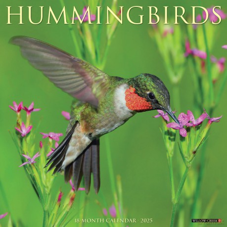 Hummingbirds 2025 Wall [KSIĄŻKA]