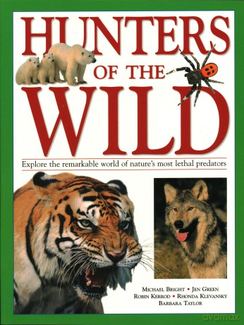 Hunters of the Wild: Explore the remarkable world of nature's most lethal predators - Bright [KSIĄŻKA]