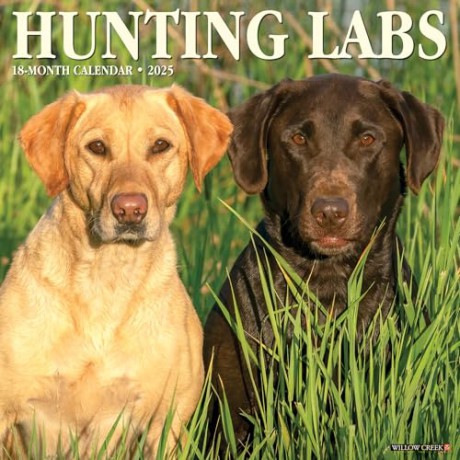 Hunting Labs 2025 Wall [KSIĄŻKA]
