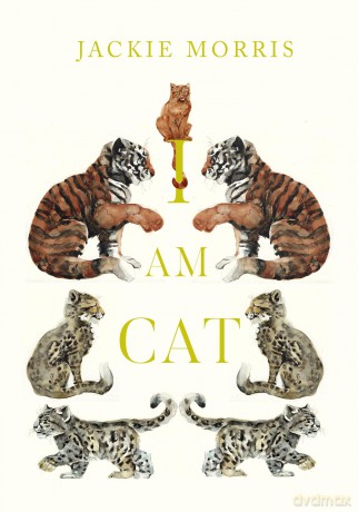 I Am Cat - Jackie Morris [KSIĄŻKA]