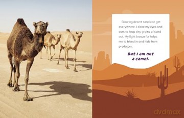 I Am Not a Camel: Animals in the Desert (What Animal Am I) - Mari Bolte [KSIĄŻKA]