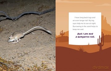 I Am Not a Camel: Animals in the Desert (What Animal Am I) - Mari Bolte [KSIĄŻKA]