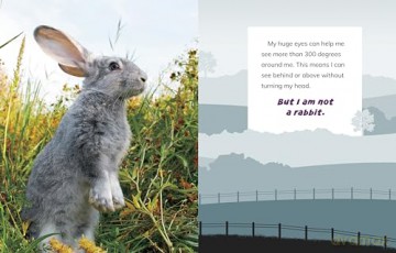 I Am Not a Chicken: Animals on the Farm (What Animal Am I) - Mari Bolte [KSIĄŻKA]