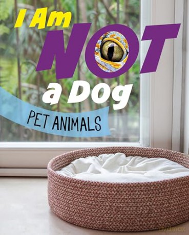 I Am Not a Dog: Pet Animals (What Animal Am I) - Mari Bolte [KSIĄŻKA]