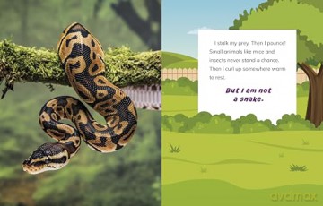 I Am Not a Dog: Pet Animals (What Animal Am I) - Mari Bolte [KSIĄŻKA]