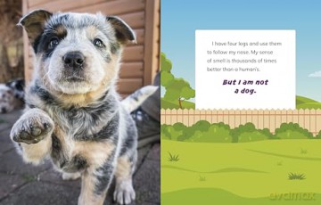 I Am Not a Dog: Pet Animals (What Animal Am I) - Mari Bolte [KSIĄŻKA]