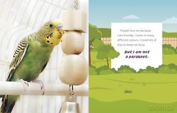 I Am Not a Dog: Pet Animals (What Animal Am I) - Mari Bolte [KSIĄŻKA]