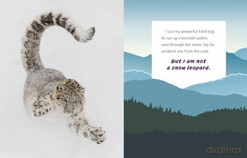 I Am Not a Snow Leopard: Animals in the Mountains (What Animal Am I) - Mari Bolte [KSIĄŻKA]