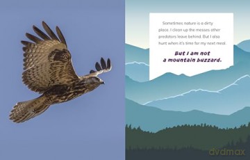 I Am Not a Snow Leopard: Animals in the Mountains (What Animal Am I) - Mari Bolte [KSIĄŻKA]