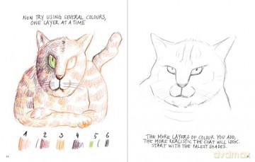 I Can Draw Cats - Peng [KSIĄŻKA]