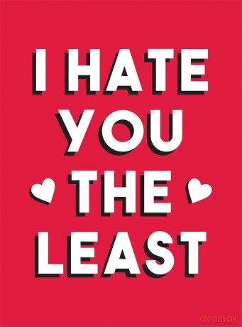 I Hate You the Least: A Gift of Love That's Not a Cliché [KSIĄŻKA]