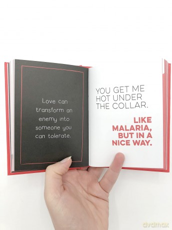 I Hate You the Least: A Gift of Love That's Not a Cliché [KSIĄŻKA]