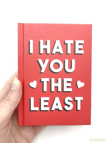 I Hate You the Least: A Gift of Love That's Not a Cliché [KSIĄŻKA]