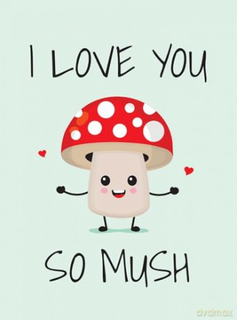 I Love You So Mush: Punderful Ways to Say "I Love You" [KSIĄŻKA]
