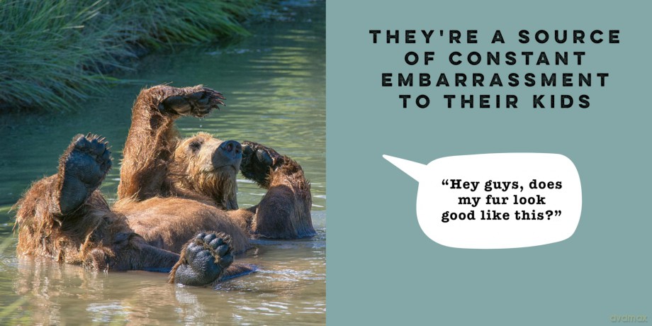 If Animals Could Talk: Embarrassing Dads - Frank Hopkinson [KSIĄŻKA]