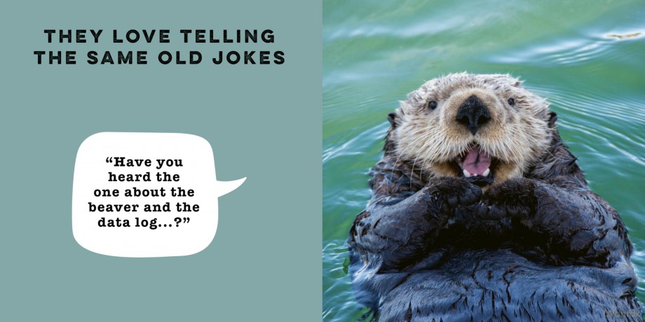 If Animals Could Talk: Embarrassing Dads - Frank Hopkinson [KSIĄŻKA]