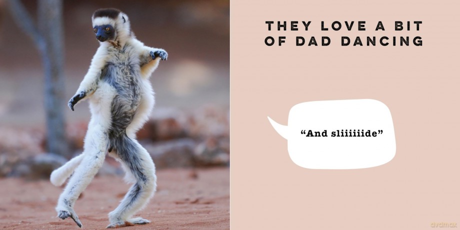 If Animals Could Talk: Embarrassing Dads - Frank Hopkinson [KSIĄŻKA]