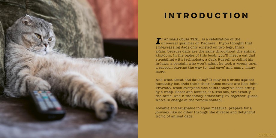 If Animals Could Talk: Embarrassing Dads - Frank Hopkinson [KSIĄŻKA]