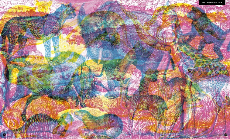 Illumipedia: Wonder at Dinosaurs, Animals, Oceans and Minibeasts with your Magic Three-Colour Lens (Illumi: See 3 Images in 1) - Carnovsky [KSIĄŻKA]