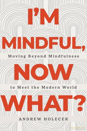 I'm Mindful, Now What: Moving Beyond Mindfulness to Meet the Modern World - Andrew Holecek [KSIĄŻKA]