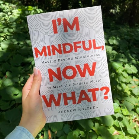 I'm Mindful, Now What: Moving Beyond Mindfulness to Meet the Modern World - Andrew Holecek [KSIĄŻKA]