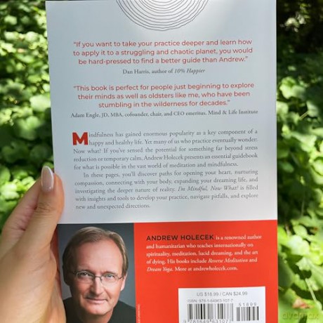 I'm Mindful, Now What: Moving Beyond Mindfulness to Meet the Modern World - Andrew Holecek [KSIĄŻKA]