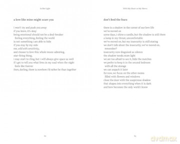 In Her Light - Christi Steyn [KSIĄŻKA]