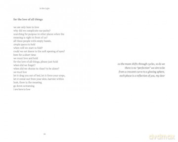 In Her Light - Christi Steyn [KSIĄŻKA]